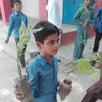 Green Seekers Activity